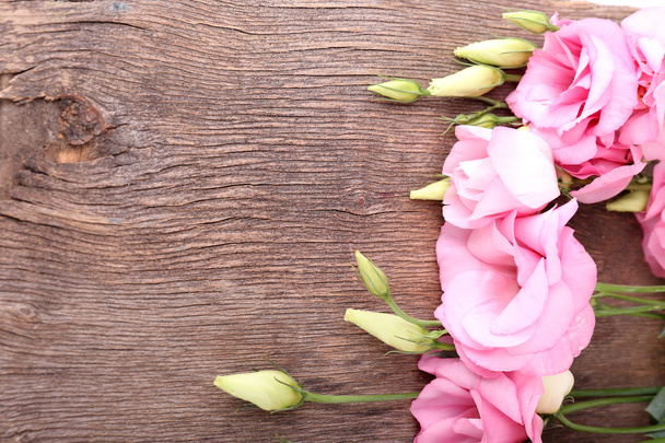 gyönyörű eustoma virágok - Fotó, kép