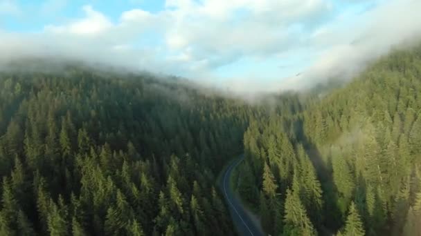 Vista aérea de los coches que conducen a lo largo de la carretera en las montañas entre el bosque de coníferas. Misterioso paisaje montañoso, el bosque está envuelto en niebla. - Imágenes, Vídeo