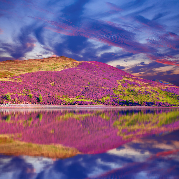 színes táj táj, a pentland dombok hatálya pu - Fotó, kép
