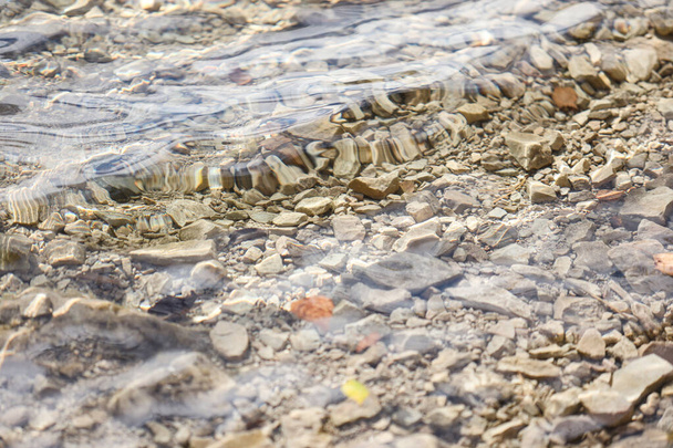 Beautiful clear water with small rocks on the bottom. Photo taken on a warm sunny autumn day. - Photo, image