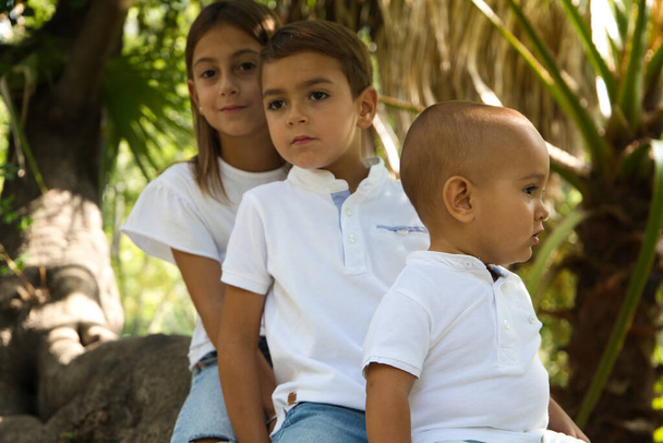Ritratto di tre bambini piccoli montati sul tronco di un albero nel parco. Sono vestiti con magliette bianche e jeans. La sorella maggiore è una ragazza transessuale. Concetto di famiglia unita e felice - Foto, immagini