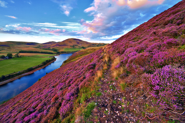 Beautiful landscape of scottish nature - Photo, Image