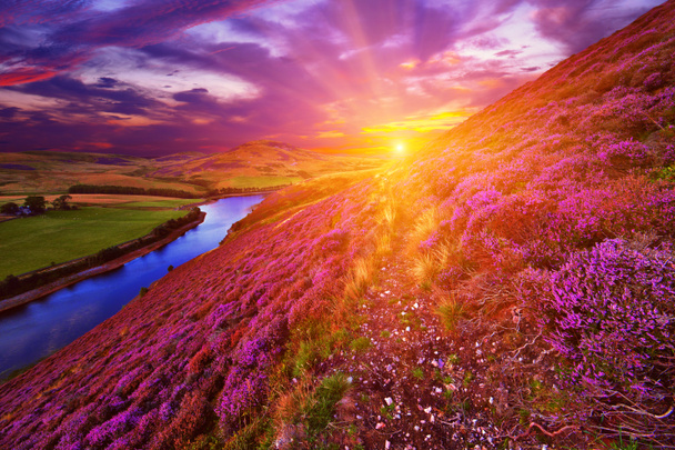 prachtige landschap van Schotse aard - Foto, afbeelding