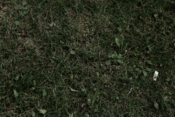 緑の人工芝自然背景 - 写真・画像