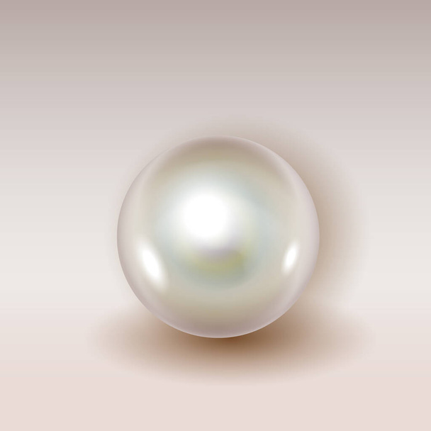 Realistic shiny natural white sea oyster pearl with light effects isolated on background with shadow - Vettoriali, immagini