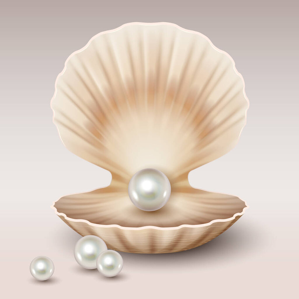 Cáscara abierta realista con brillantes perlas en el interior. 3d molusco de ostra de agua dulce o de concha marina - Vector, imagen