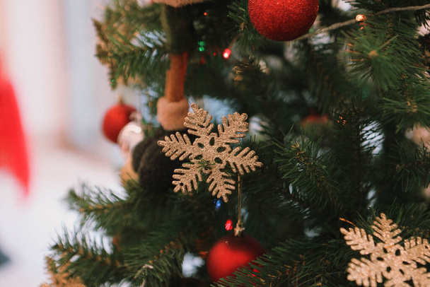 Pine Christmas tree gift - Foto, Bild