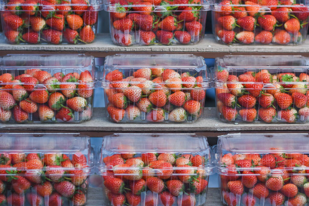 Strawberries in plastic boxes are ready for sale. - Foto, immagini