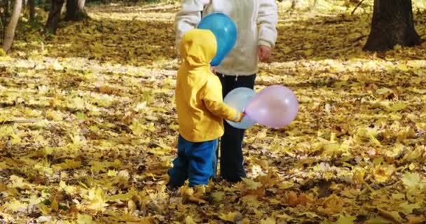 El niño pequeño está jugando con su madre en globos inflables. Naturaleza otoñal - Imágenes, Vídeo