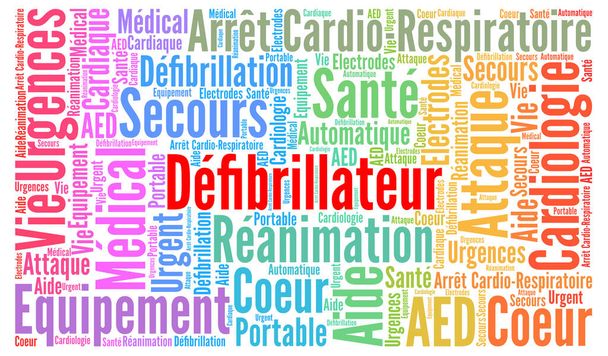 Defibrillator woord cloud concept in het Frans taal - Foto, afbeelding