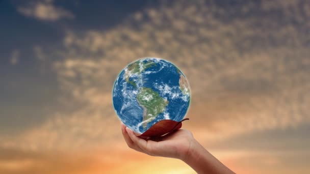 hand holding the earth , ecology earth day. - Imágenes, Vídeo