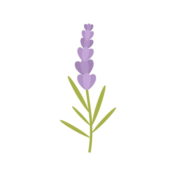French herbal flower icon flat isolated vector - Διάνυσμα, εικόνα