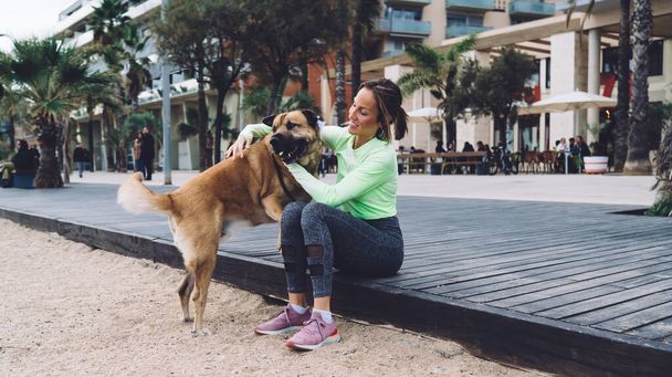 Side view of happy young woman in casual outfit petting and hugging cute dog while sitting on wooden walkway on beach - Fotoğraf, Görsel