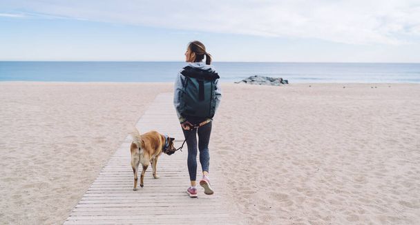 Back view of thoughtful middle aged female with backpack walking dog on leash on wooden walkway towards sea among sand and looking far left - Фото, изображение