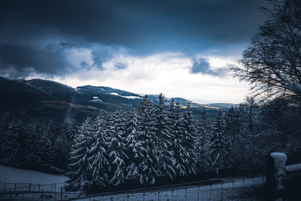 Wald in Bayern im Winter mit blauem Nebel am Abend mit Nebel und Schnee. - Photo, image