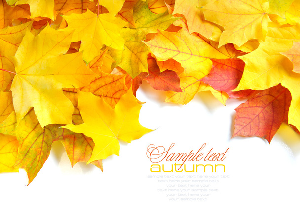 Rahmen aus bunten Herbstblättern isoliert auf weiß - Foto, Bild
