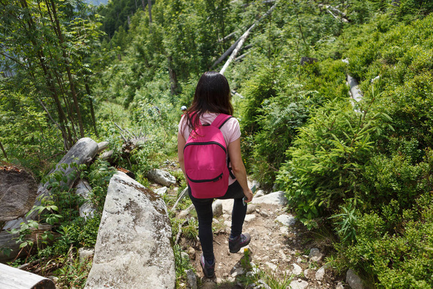 Forest hiking trail woman walking Wandering active people lifestyle.High-profile shot. - Φωτογραφία, εικόνα