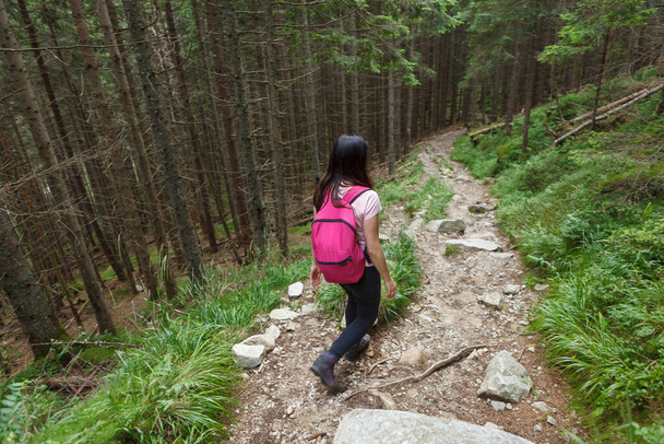 Woman with backpack hiking on mountain path in forest. Shot from behind. - Фото, зображення