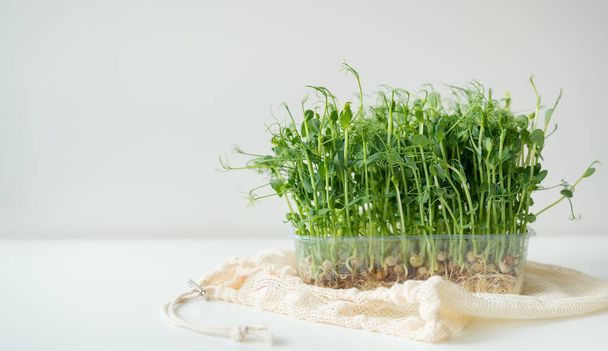 Roślinne kiełki grochu, microgreens na białym tle, wegańskie zdrowie superfood - Zdjęcie, obraz