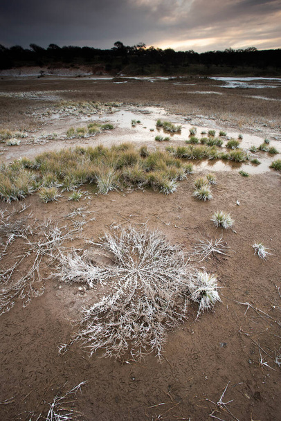 Salitre en el suelo de una laguna en un entorno semidesértico, provincia de La Pampa, Patagonia, Argentina. - Foto, imagen