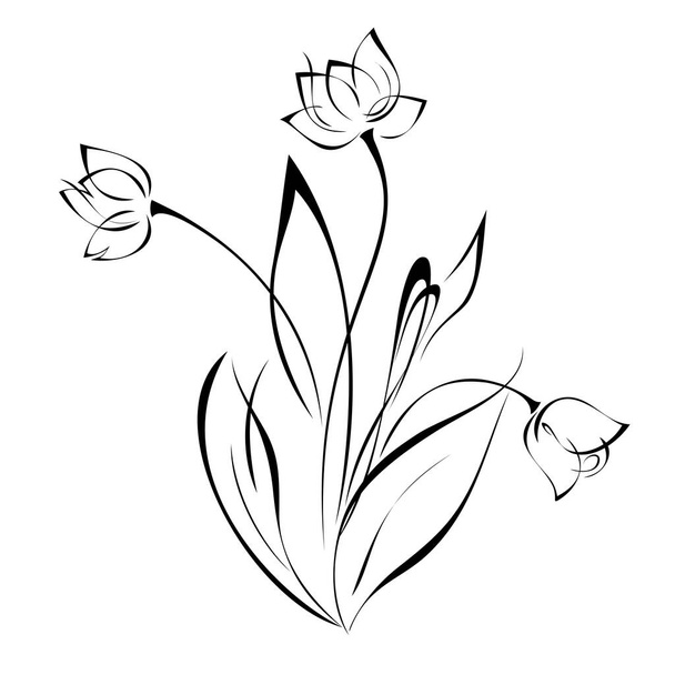 three flower buds on stems with leaves in black lines on white background - Vetor, Imagem