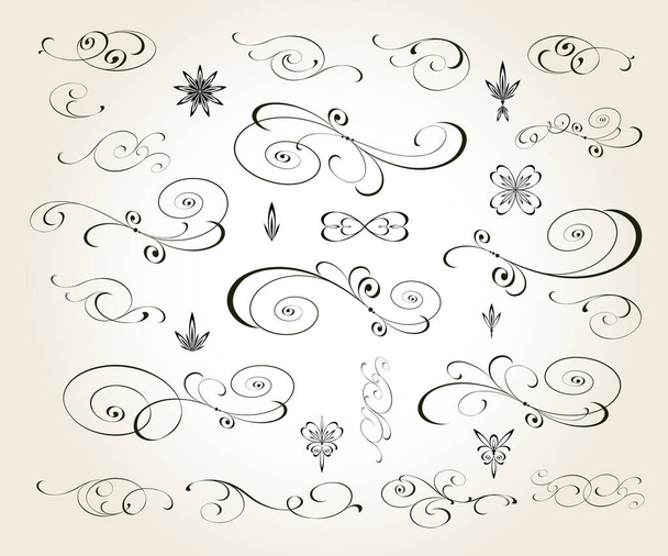 Elementos de diseño vectorial vintage floral.Giros caligráficos de la composición. - Vector, Imagen