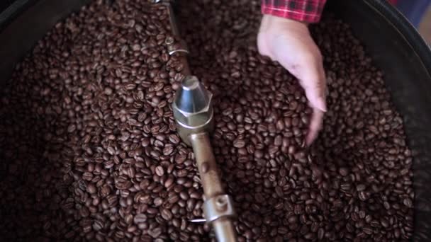 Hand of woman checking temperature of roasting a batch of high quality the coffee beans are in the cooling cycle. - Materiał filmowy, wideo