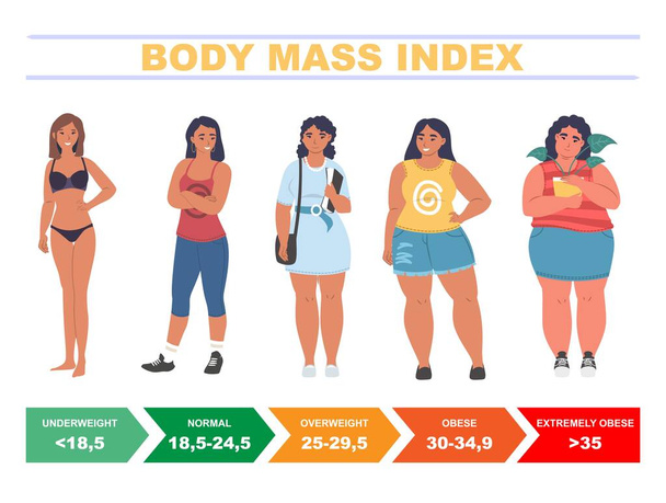 BMI for women. Body mass index chart based on height and weight, flat vector illustration. - Vector, imagen