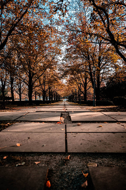 autumn park in the city - Фото, изображение