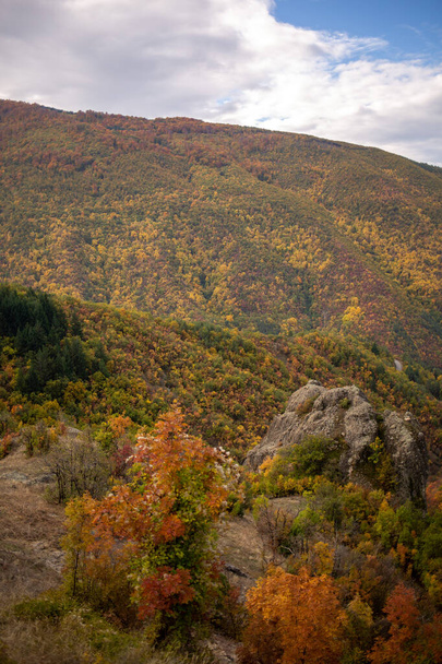 autumn landscape with trees and mountains - Valokuva, kuva