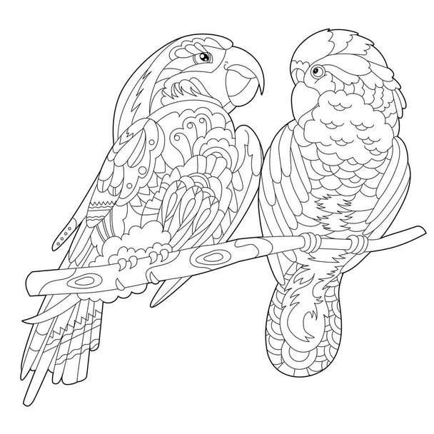 Contour linear illustration for coloring book with two pretty birds. Beautiful cute couple,  anti stress picture. Line art design for adult or kids  in zen-tangle style, tattoo and coloring page - Vector, Imagen