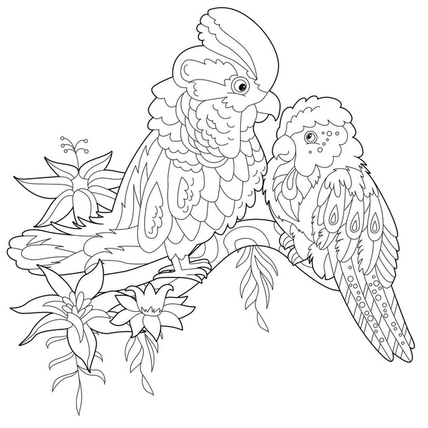 Contour linear illustration for coloring book with two pretty birds. Beautiful cute couple,  anti stress picture. Line art design for adult or kids  in zen-tangle style, tattoo and coloring page - Вектор, зображення