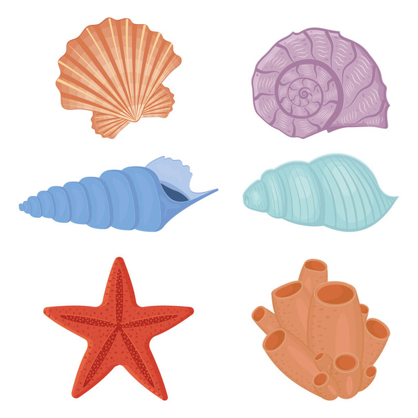 A set of colored seashells. Isolated vector illustration on a white background - Vector, Image