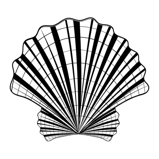 Isolated seashell. Vector illustration of a black contour line, in the style of a doodle. - Vektor, Bild