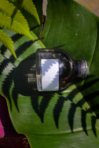 Frasco de perfume de 50 ml com rótulo branco em branco e folhas verdes sobre fundo de licença verde. Frasco de perfume foto stock - Foto, Imagem