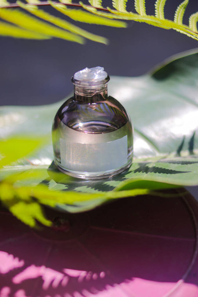 Frasco de perfume de 50 ml con etiqueta blanca en blanco y hojas verdes sobre fondo de hoja verde. Perfume botella stock foto - Foto, Imagen