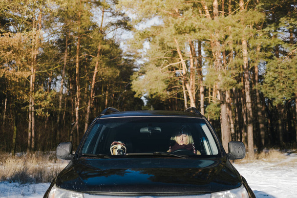 A woman and her dog wearing funny hats sit in the car at snowy forest. Winter outdoors activities, driving pets to the nature, living active lifestyle - Fotografie, Obrázek
