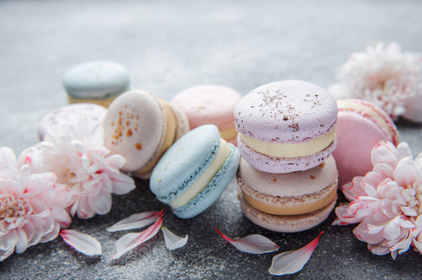 Beautiful colorful tasty macaroons and  white flowers  on a concrete background - Photo, Image