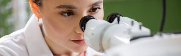 young oculist working with ophthalmoscope on blurred foreground, banner - 写真・画像