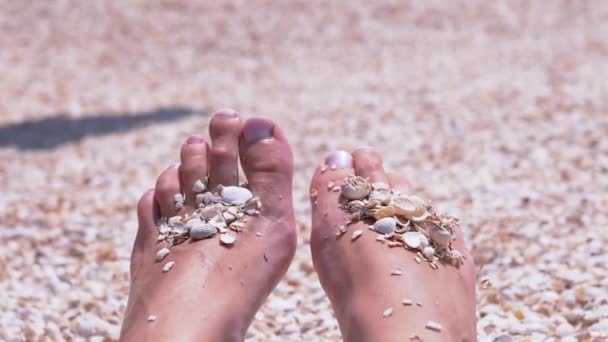 Female Legs are Sunbathing on Sandy Sea Beach among Seashells. Close up. Zoom - Felvétel, videó