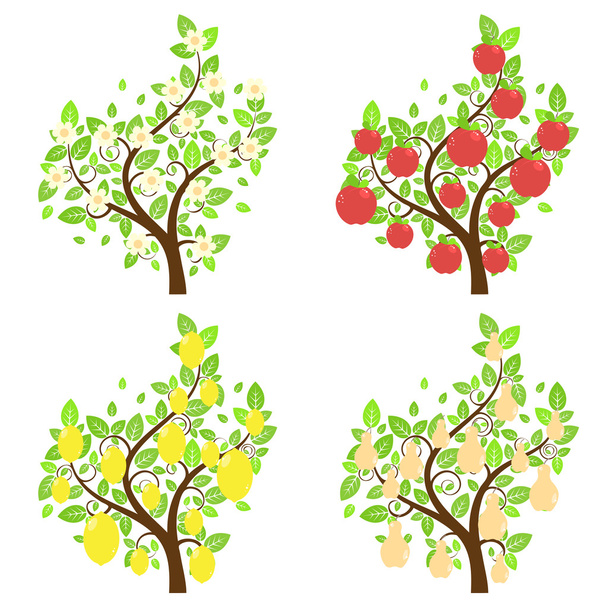 Stylized Fruit Trees - Vector, Image