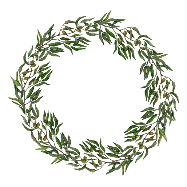 Watercolor wreath of olive branches with fruits. Hand painted floral circle border with olive fruit and tree branches isolated on white background. For design, print and fabric. - Fotografie, Obrázek