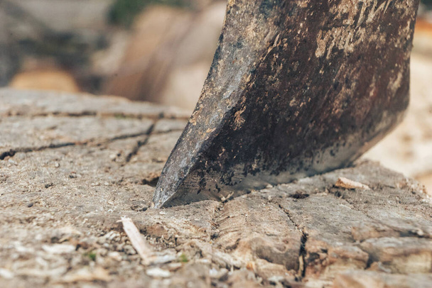Piękne Stara siekiera z drewnianą rączką leży na stosie drewna opałowego, widok z góry zbliżenie - Zdjęcie, obraz