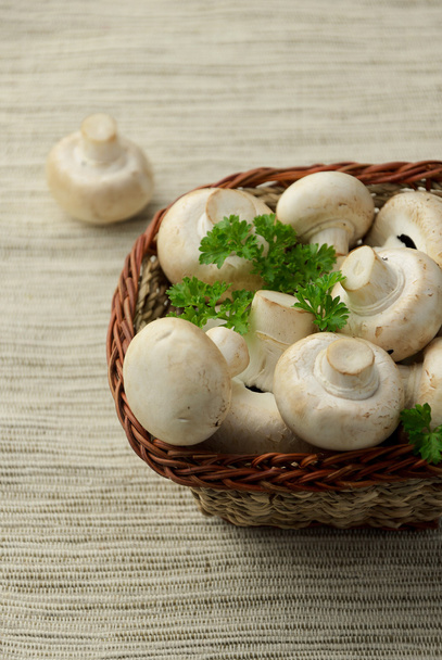 Cogumelos de champignon
 - Foto, Imagem