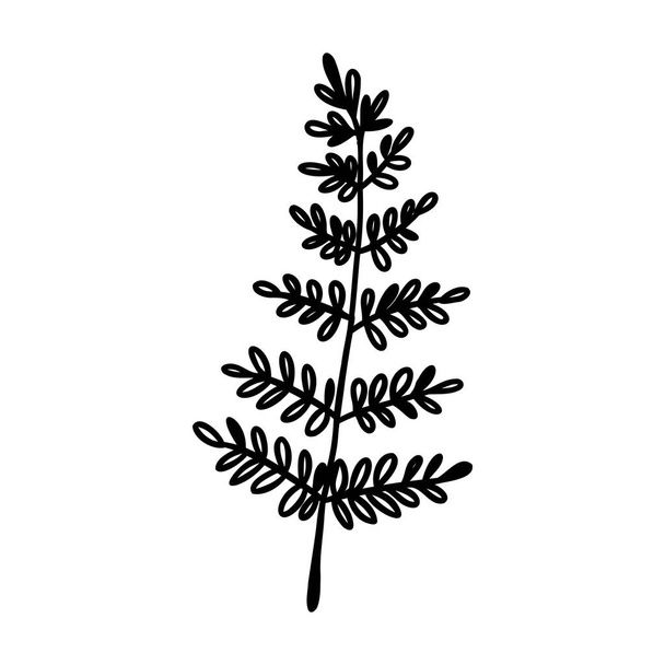 Sketch branch of leaves by hand on an isolated background - Vector, afbeelding