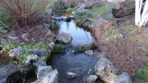  stream with garden in the Valentino park Turin Italy - Filmmaterial, Video