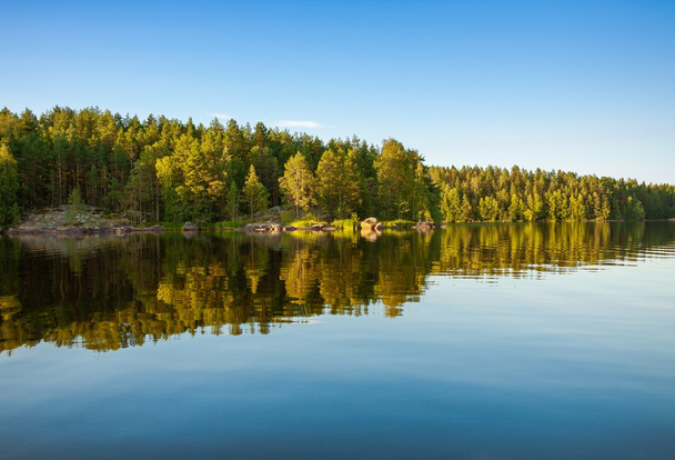 Les, který se odráží v jezeře - Fotografie, Obrázek