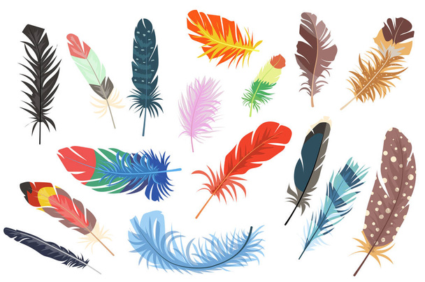 Plumes éléments isolés ensemble. Lot de différents types de plumes d'oiseaux brillantes colorées des ailes. Signes de chute de plumage multicolore. Kit de création pour illustration en dessin animé plat - Photo, image