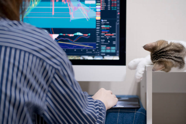 online learning for stock trading during quarantine at home with her cat - Foto, immagini