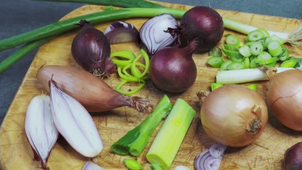 Different types of onion on wooden table. Onions, shallots, red and spring onions variety. - Footage, Video